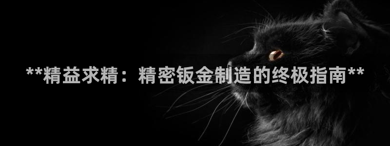 彩神购彩-购彩大厅入口36fr：**精益求精：精密钣金制造的终极指南**