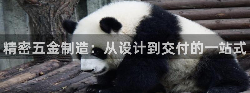 彩神团队是真的吗