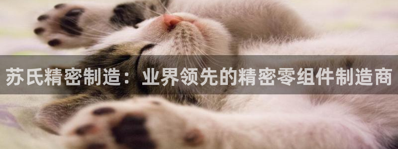 彩神平台是什么套路