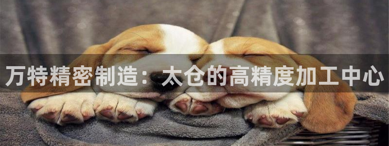 彩神v|