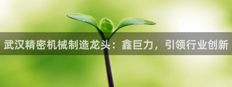 彩神v8是一个什么平台游戏