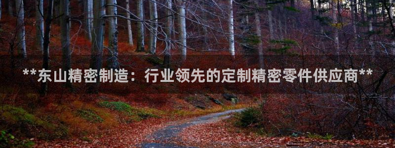 彩神vl官网