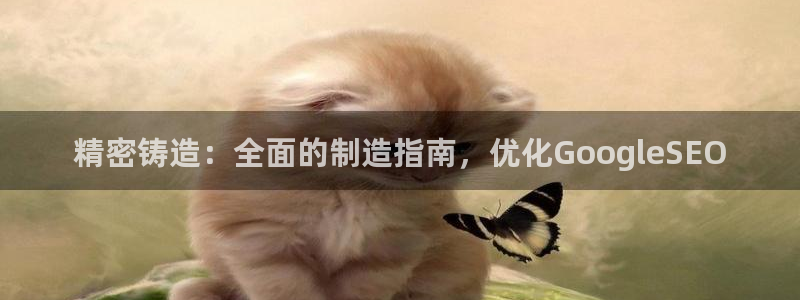 彩神网官网登录