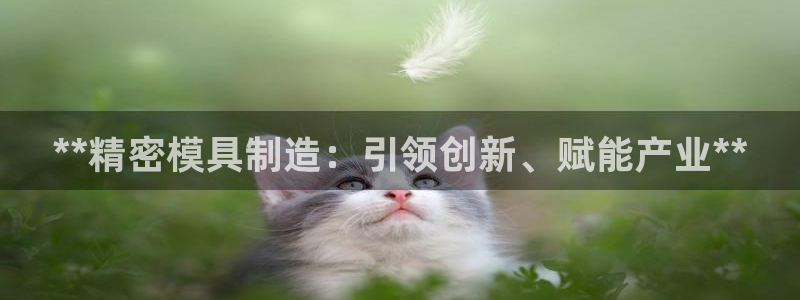 彩神可以提现吗