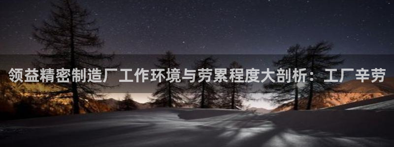 彩神V集团有限公司