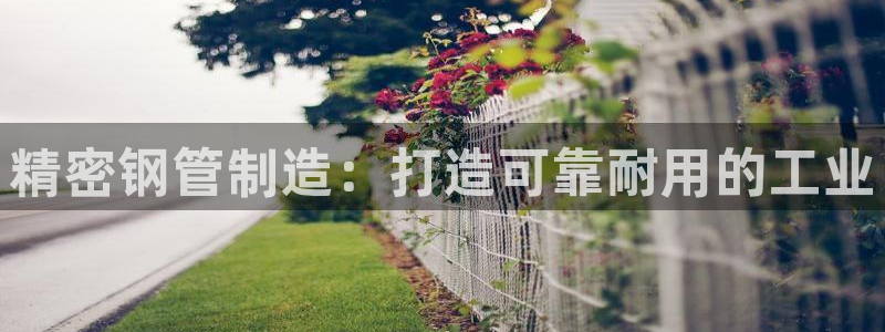 彩神是正规平台吗知乎