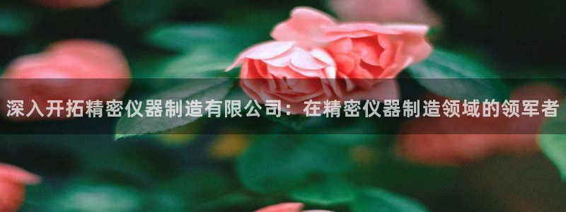 彩神vllⅰ购彩大厅