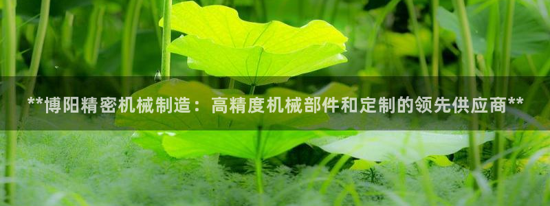 彩神v争霸有限公司