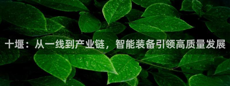 彩神8软件下载：十堰：从一线到产业链，智能装备引领高质量发展