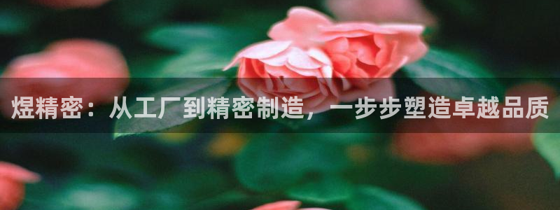 彩神vⅲ下载安装：煜精密：从工厂到精密制造，一步步塑造卓越品质