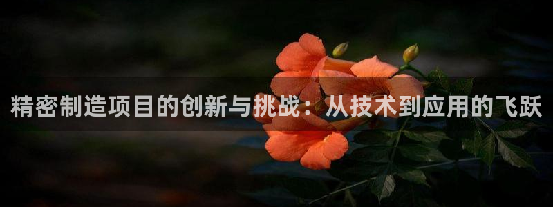 下载彩神v8：精密制造项目的创新与挑战：从技术到应用的飞跃