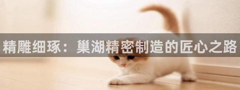 所有彩神购买首页中心：精雕细琢：巢湖精密制造的匠心之路