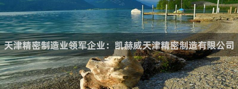 彩神vip购彩大厅：天津精密制造业领军企业：凯赫威天津精密制造有限公司