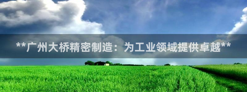 彩神vll首页环球：**广州大桥精密制造：为工业领域提供卓越**
