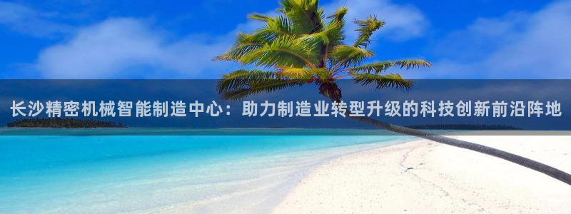 彩神vll购彩大厅大众：长沙精密机械智能制造中心：助力制造业转型升级的科技创新前沿阵地
