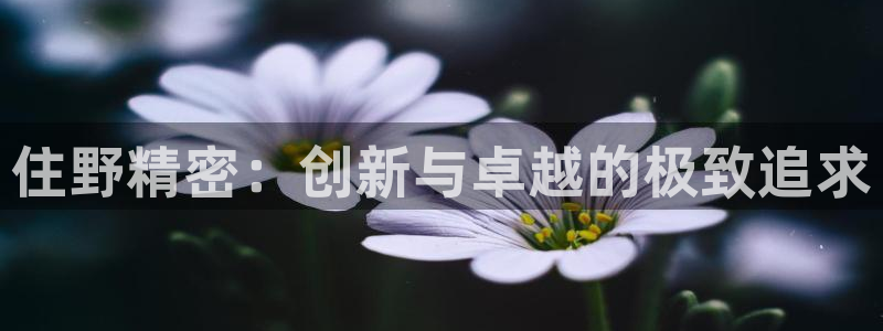 彩神8下载安卓版-彩神8(可提现)官网版1.0.0：住野精密：创新与卓越的极致追求