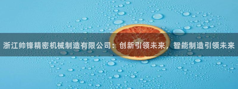 彩神vi官网版：浙江帅锋精密机械制造有限公司：创新引领未来，智能制造引领未来