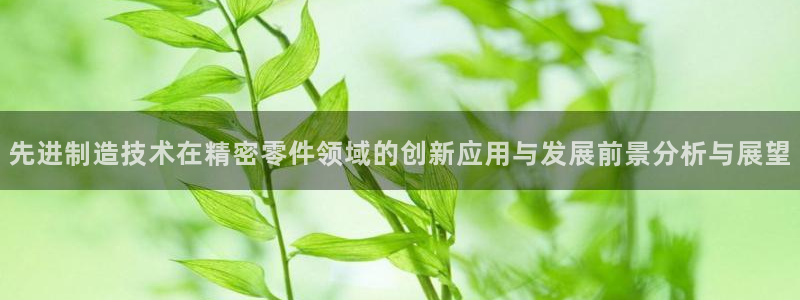 彩神广告有限公司：先进制造技术在精密零件领域的创新应用与发展前景分析与展望