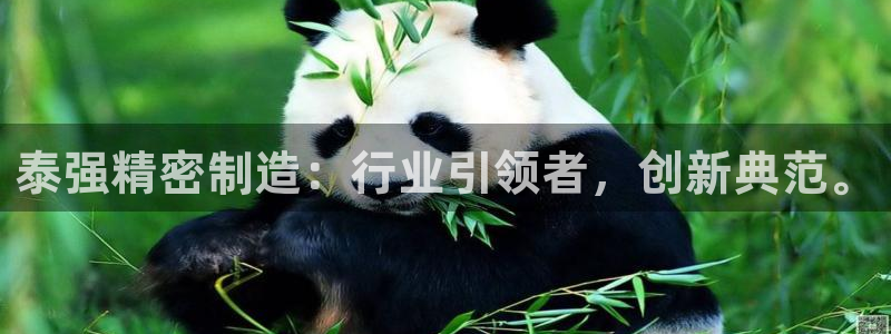 彩神v8有多久了?靠