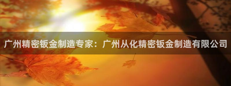 v大发彩神8iii：广州精密钣金制造专家：广州从化精密钣金制造有限公司