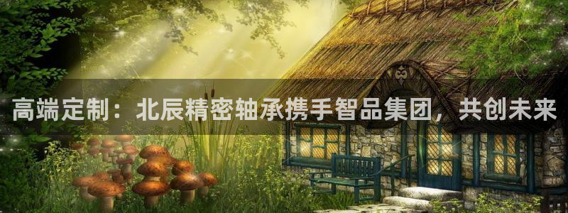 新版彩神v8登录不了：高端定制：北辰精密轴承携手智品集团，共创未来