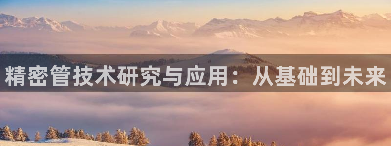 彩神vl官网：精密管