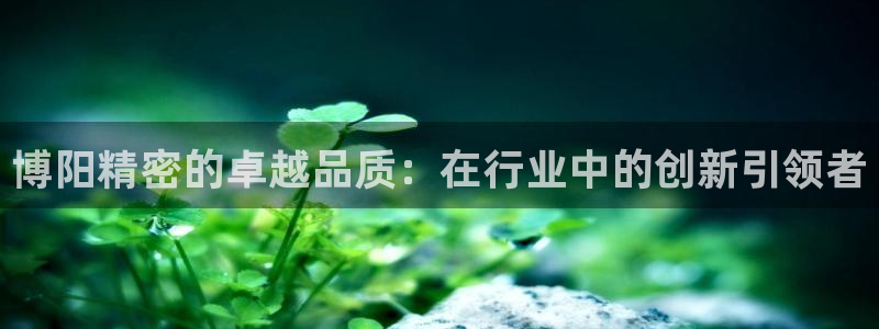 彩神怎么样可以提现：博阳精密的卓越品质：在行业中的创新引领者