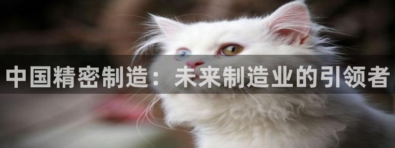 彩神vip官方网站