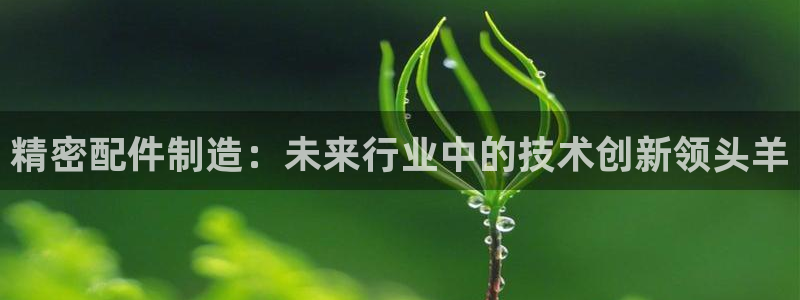 下载彩神乐发V1