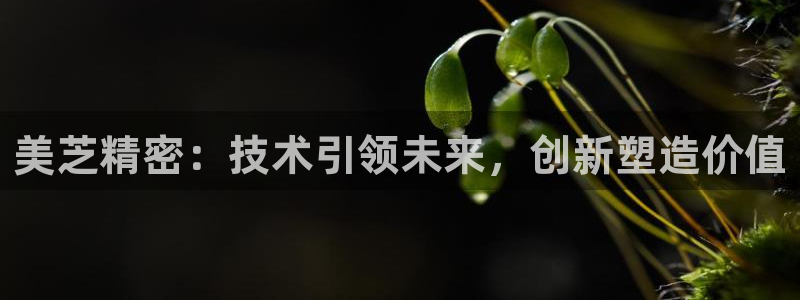 彩神vⅲ下载安装