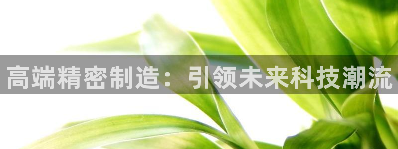 彩神vl官网：高端精密制造：引领未来科技潮流