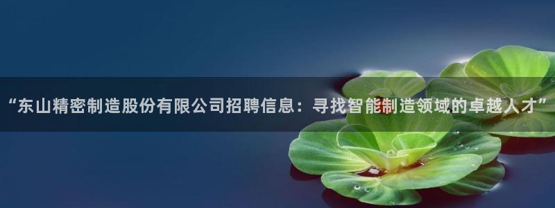 彩神v8官网版：“东山精密制造股份有限公司招聘信息：寻找智能制造领域的卓越人才”