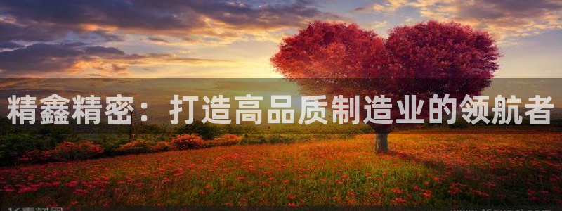 彩神V集团有限公司
