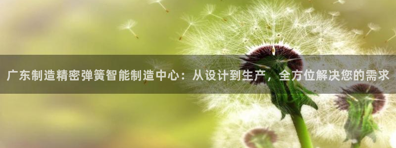 彩神velcome购彩大厅：广东制造精密弹簧智能制造中心：从设计到生产，全方位解决您的需求