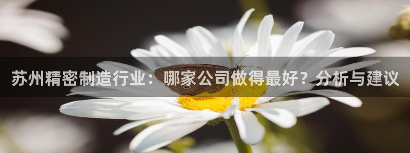 彩神ⅴll是什么样平台：苏州精密制造行业：哪家公司做得最好？分析与建议