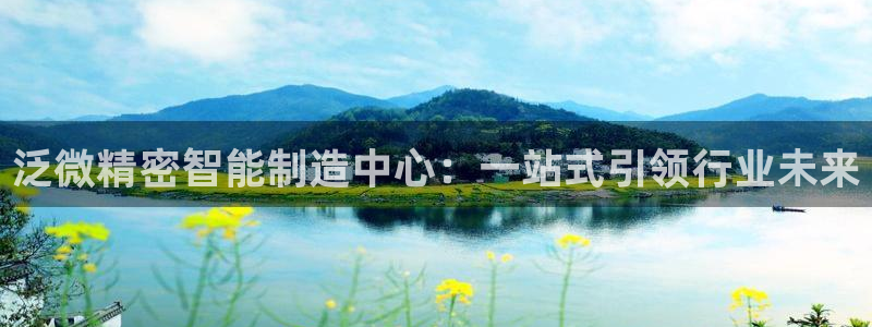 彩神平台能提现吗：泛
