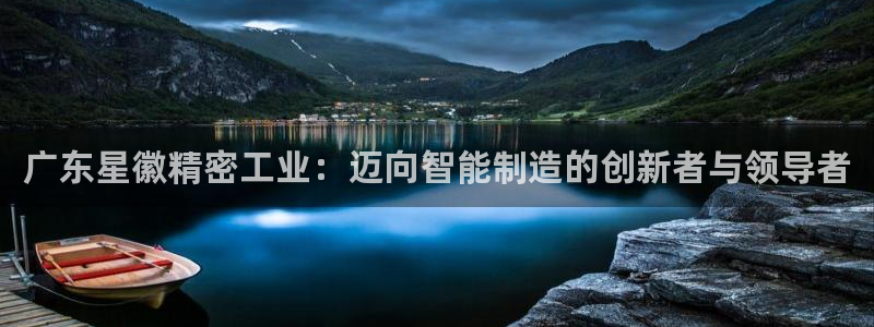 彩神V8有限公司：广东星徽精密工业：迈向智能制造的创新者与领导者