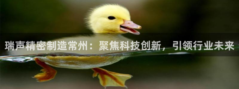 在彩神网输了六万多怎么拿回来：瑞声精密制造常州：聚焦科技创新，引领行业未来