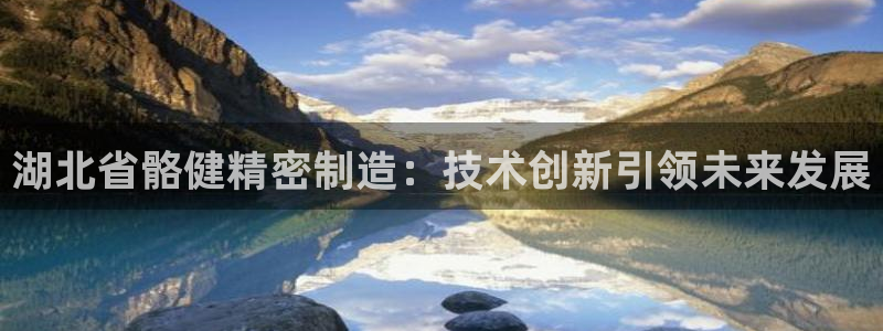 彩神购彩-购彩大厅入口老版：湖北省骼健精密制造：技术创新引领未来发展