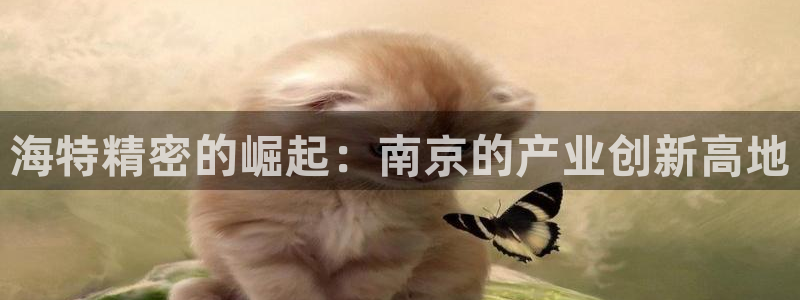 大发彩神争：海特精密的崛起：南京的产业创新高地