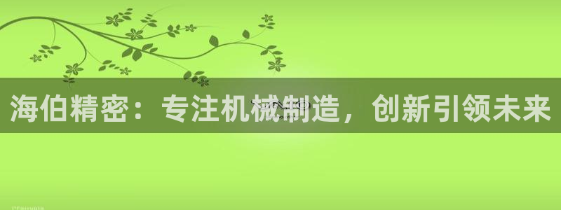 彩神网正规吗：海伯精密：专注机械制造，创新引领未来