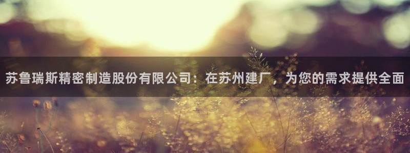 所有彩神购买首页都一样吗：苏鲁瑞斯精密制造股份有限公司：在苏州建厂，为您的需求提供全面