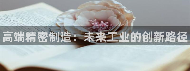 彩神用户登录：高端精