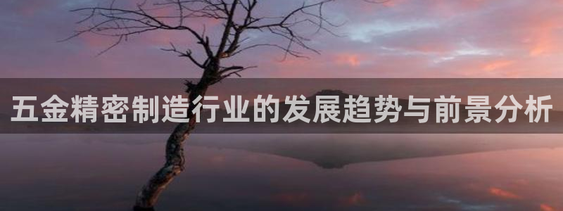 彩神v8iii：五金