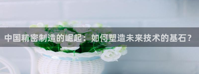 彩神ix官网是哪个公司的：中国精密制造的崛起：如何塑造未来技术的基石？
