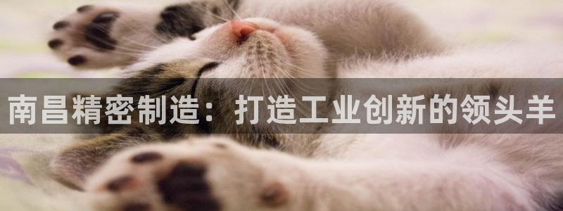 彩神输的钱是赌博还是诈骗