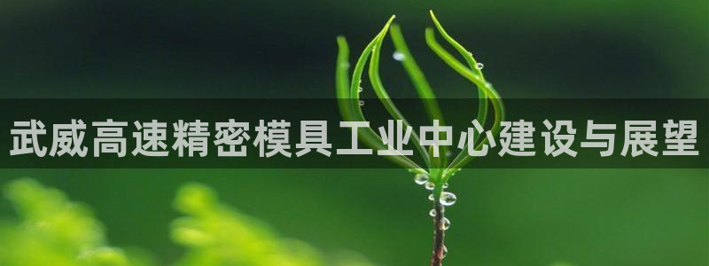 彩神v|
