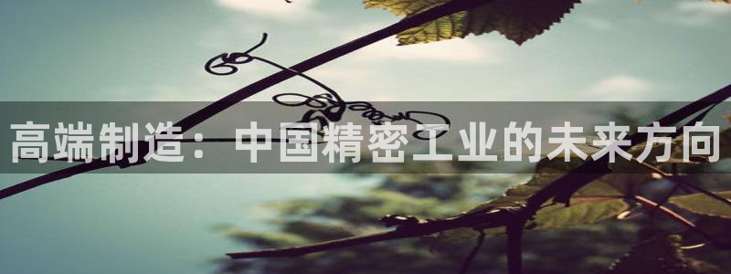 彩神8是正规平台吗知乎