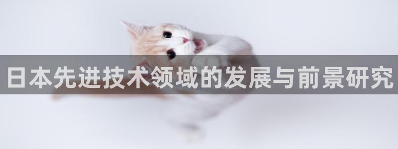 彩神到底能不能赚钱：日本先进技术领域的发展与前景研究