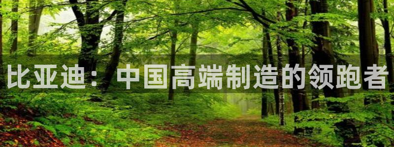 彩神ⅴll用户登录：比亚迪：中国高端制造的领跑者